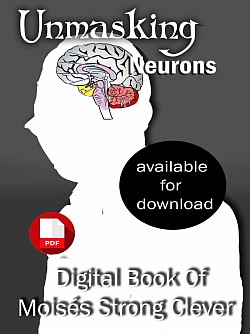 Unemasking Neurons... Available for download talk to me